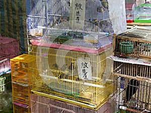 Several bird cages at mongkok bird market in hong kong