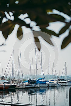 several boats are docked in the harbor with trees and bushes