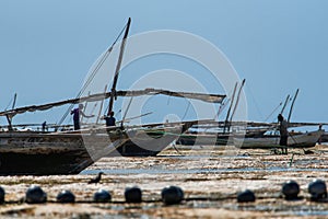 Several boats are parked on a sandy beach in Sri Lanka during low tide