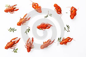 Several boiled crawfish isolated on white. top view. Flat lay