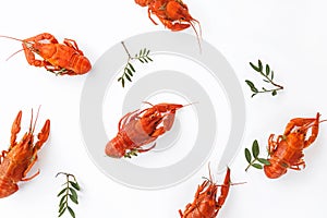 Several boiled crawfish isolated on white. top view. Flat lay