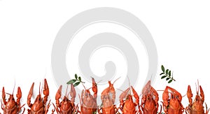 Several boiled crawfish isolated on white. top view. Flat lay