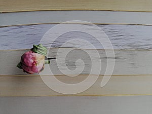 Several books and one flower in them