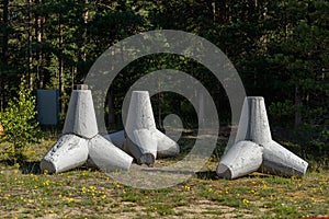 Several breakwaters placed in forest