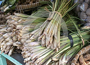 Several bunches of lemongrass, Daun Sereh, Cymbopogon citratus in the traditional market, in Yogyakarta, Indonesia photo