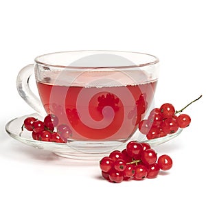 Several bunches of red currants on a saucer and a cup of tea on a white background.