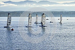 Several caterman saliling dingys training on the ocean on a bright fall day.