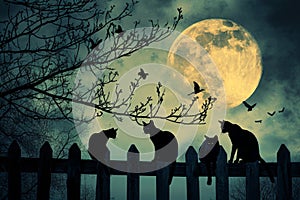 Several cats perched on a fence, with each cat calmly observing their surroundings, Black cats prowling on a fence under the full