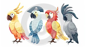 Several colorful birds isolated on a white background. Cartoon illustration of exotic cockatoos, comic feathered mascots