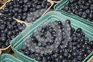 Several Containers Full of Fresh Blueberries