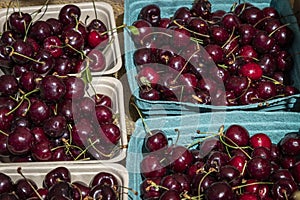 Several Containers Full of Fresh Cherries