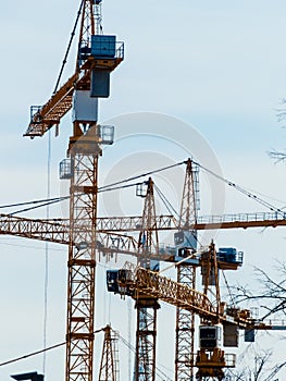 Several cranes on construction site