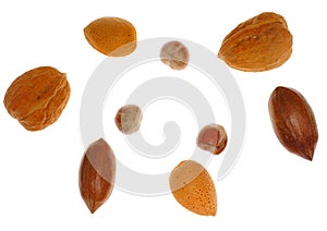 Several different nuts