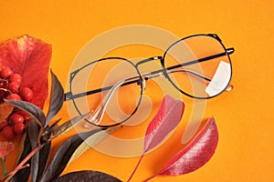 several different trendy fashion eye glasses nad red autumn leaves on orange background copy space top view