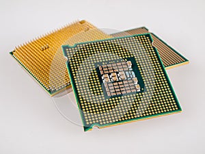 several different types of microprocessors for a computer  close-up  the choice of a silicon chip for installation