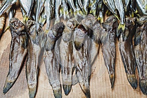 Several dried fish gobies lie on counter