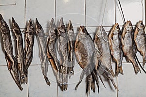 Several dried fish hang on tiled wall