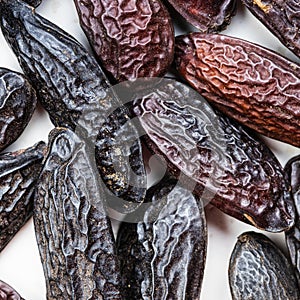 Several dried tonka beans close up