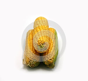 Several ears of corn on a light background. Natural product. Natural structure. Natural color. Close-up
