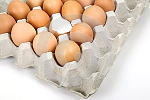 Several eggs and eggshell