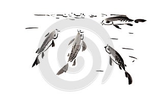 Several fishes eat food on surface of the water. Hand drawn in chinese ink with paper texture. Isolated on white. Inkdrawn