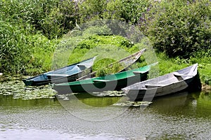 Several fishing boats on the shore