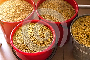 Several full buckets stand with grain, oats granule