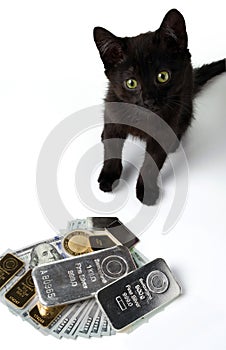 Several gold and silver bars and a coin are lying on hundred-dollar bills in front of a black kitten. Selective focus