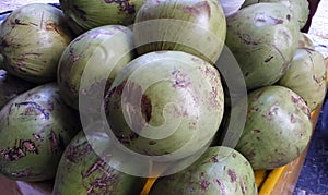 Several green coconuts together to sell