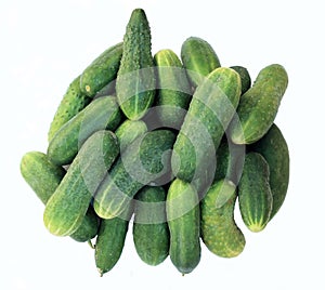 Several green cucumber on a white background