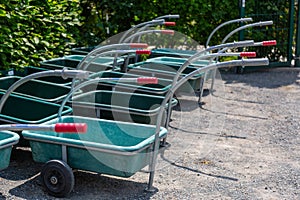 Several green plastic handcarts in front of a beech hedge