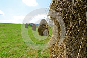 Several hayrick on the green field