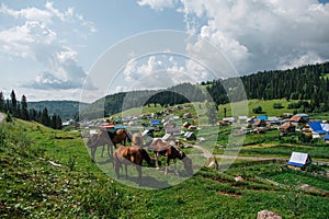 Several horses pasturing on a beautiful hill next to a village in a valley