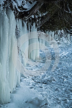 several ice covered trees and frozen water on the side of the road