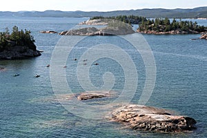 Several Kayaks Viewed from Above