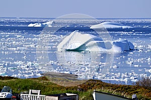 Several large icebergs marooned near the shoreline