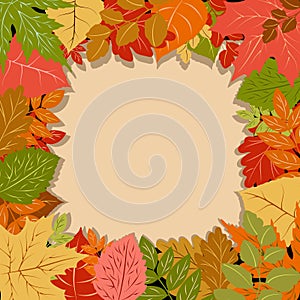 Autumn Leaves Fall Season Vector Frame Border Background photo