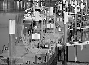 Several mechanical clocks are located in perspective on a river floating jetty. Black and white photo