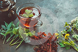 Several medicinal plants and herbs, healthy herbal tea cup and vintage copper tea kettle. Herbal medicine