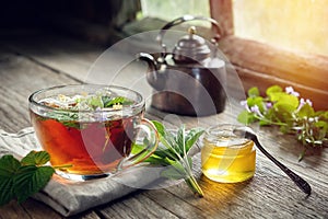 Varios plantas a hierbas sobre el mesa saludable herbario té taza Miel chirrido a antiguo cobre té pava 