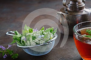 Several medicinal plants and herbs in tea infuser, healthy herbal tea cup and vintage copper tea kettle. Herbal medicine.