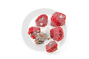 Several mouldy raspberries