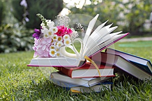 several multi-colored books lie on grass. open book, pages of which are folded in shape of heart