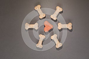 Several multi-coloured dog biscuits arranged in a pattern on a grey background