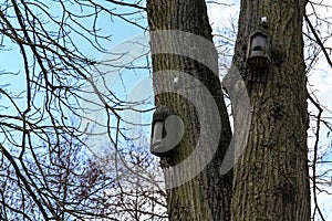 Several old birdhouses hanging in the trees