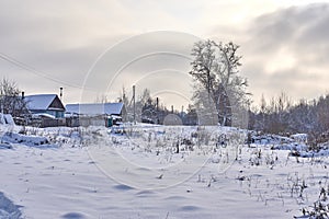 Several Russian houses in the village near the forest in winter