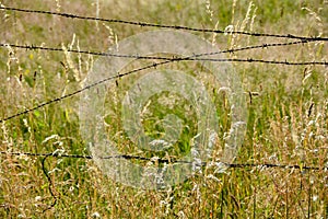 Several old rusted barbed wire, crisscrossed in nature