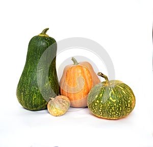 Several orange and mottled green pumpkins with large and small sizes and different shapes