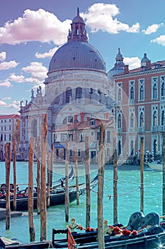 Several parked gondolas on Canal Grande with Basilica di Santa Maria della Salute in the background, Venice, Italy