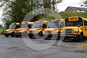 Several parked School buses